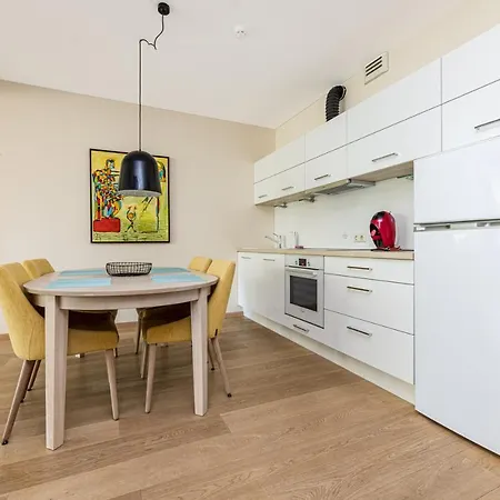 Birutes Alley 43, By Cohost Apartment